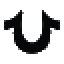 truereligion logo