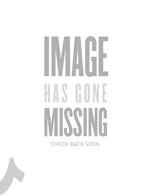 true religion buddha logo meaning